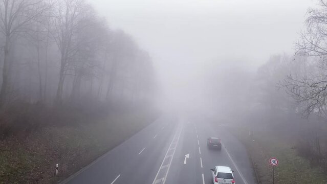 mysterious foggy landscape with trees in forest, cars drive on road, blurred background, mysterious place, mystical concept, getting lost in poor visibility, natural phenomenon, video for horror movie