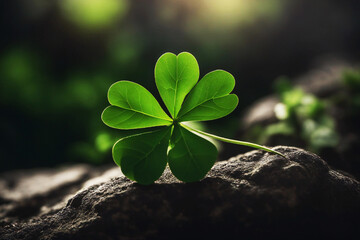 Naklejka premium beautiful clover leaves on the rock