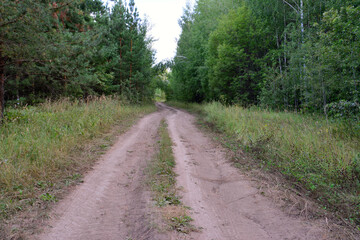 Obraz premium empty dusty road going through spruce forest to the horizon 
