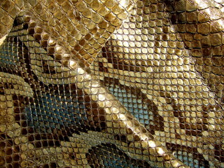 Genuine python skin, snakes with natural animalistic pattern, print. Texture of natural leather.