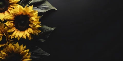 Rolgordijnen Stylish Dark Background with Sunflowers on Black - Copy Space © kilimanjaro 