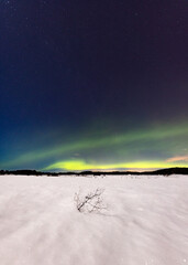 Northern Lights in Finland - 644414406