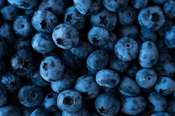 Fresh blueberry background. Texture blueberry berries close up.