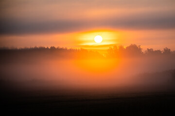 Foggy Sunrise - 644415650