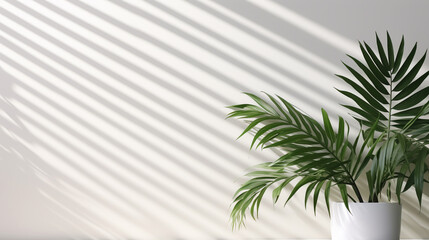 decorative tropical plant on white wall background sunny day. Generative Ai