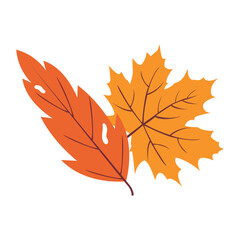 Fototapeta premium Autumn Leaves