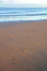 Human footprints in the sand on a beach at Hartlepool, County Durham, England, UK.