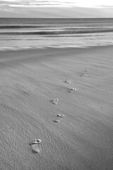 Black and white image of Human footprints in the sand on a beach at Hartlepool, County Durham, England, UK.