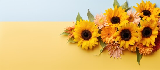 Sunflowers and gerbera flowers closeup on isolated pastel background Copy space