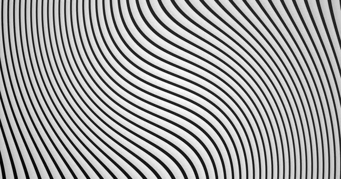 seamless Looped flat wavy movements of black and white color stripes moving right to left. Animated wavy stripes lines abstract motion graphics shape background.	