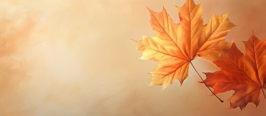 Naklejka na ściany i meble Maple leaves emblem of Canada isolated pastel background Copy space