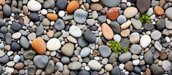 Naklejka premium pebbles in garden ground isolated pastel background Copy space
