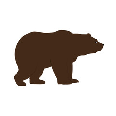 Grizzly bear side view isolated, animals and wildlife concept