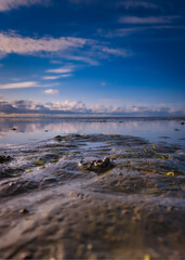 Unendliche Weite: Ein beeindruckendes Foto aus dem Watt der Nordsee, Blick in Richtung des endlosen Horizonts an einem wunderschönen Tag mit strahlend blauem Himmel.