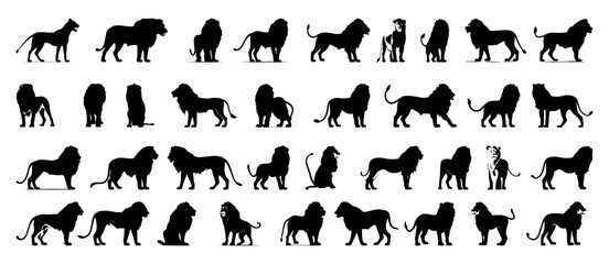 Lion Silhouette Collection Illustration Set