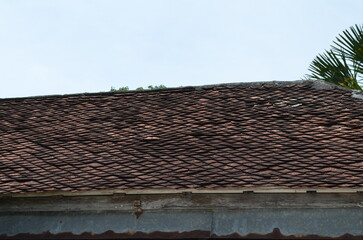 nature, tree, green, summer, beautiful, landscape, natural, view, garden, plant, asia, tropical, travel, environment, texture, material, background, structure, design, outdoor, style, shingle, roof