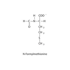 N-Formylmethionine skeletal forumal. Amino acid derivative structure diagram on on white background.