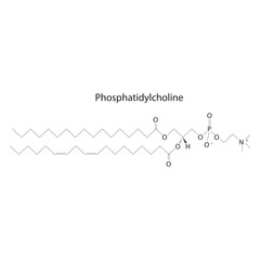 Structure of Phosphatidylcholine biomolecule, skeletal structure diagram on on white background. Scientific diagram vector illustration.