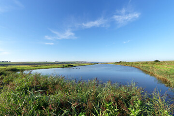 Swamps and meadows of the Hable of Ault in Picardy coast