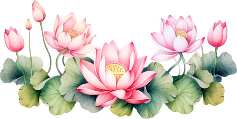 Watercolor lotus clipart for graphic resources. Water lily composition - 644432666
