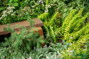 nice garden with wooden bench