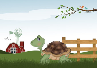 illustration of turtle in the farm