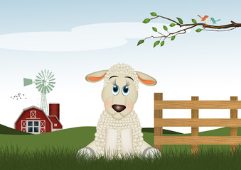 illustration of sheep in the farm