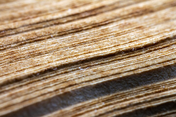 Extreme closeup of an old book from the side