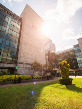 Dublin, Ireland - 07.12.2023: Sun shine over IFSC House and green well decorated yard.