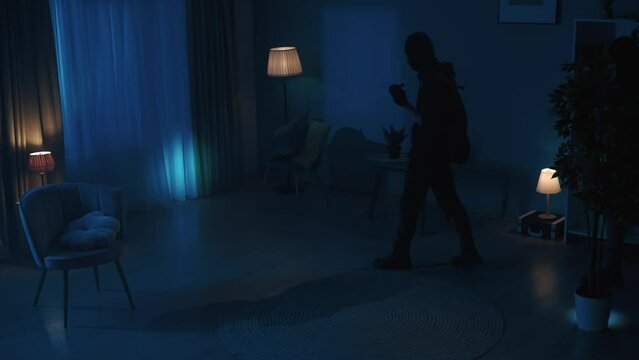 Video of two burglars going around the dark apartment with flashlights on while the owner, tenant is sleeping on the couch right next to them. Intruders notice her.