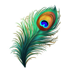 Peacock feather isolated on a transparent background, Generative ai