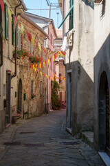 Fototapeta na wymiar Fosdinovo, medieval town in Tuscany