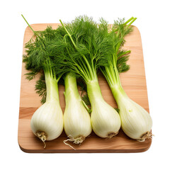 Fennel on wooden plate, platter isolated on transparent background.