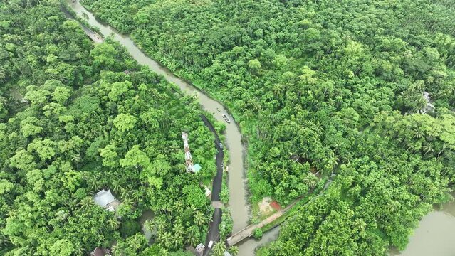 Aerial view of largest guava garden in Swarupkathi, Pirojpur, Barisal, Bangladesh.
