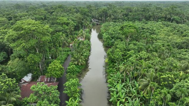 Aerial view of largest guava garden in Swarupkathi, Pirojpur, Barisal, Bangladesh.