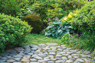section of a Japanese garden, a fragment of a stone-paved path, plants and mossy rock