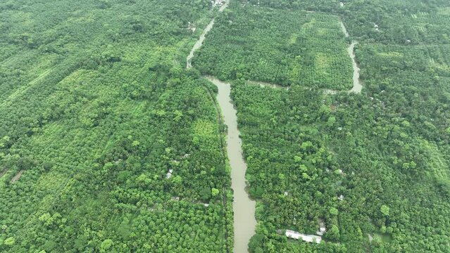 Aerial view of largest guava garden in Swarupkathi, Pirojpur, Barisal, Bangladesh.