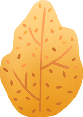 Colorful bushes and leaves in autumn