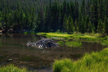 Alpine Lake in the Spanish Peaks of Colorado.Tranquil Scene in Nature: Forest, Mountains, and Serene Water
