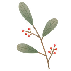 leaves change color in autumn