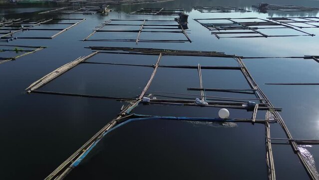 Bamboo tied together build industry of floating fish cages on a mountain lake. Backward tracking drone aerial shot.