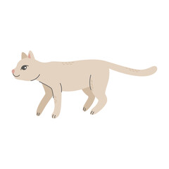 Walking, crouching gray cat. Pet, friend. Simple vector illustration in flat cartoon style isolated on white background.