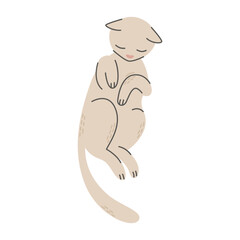 Sleeping gray cat. Pet, friend. Simple vector illustration in flat cartoon style isolated on white background.