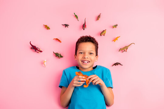 Top angle view photo of pretty cute small boy wear blue t-shirt playing favorite dino toys isolated pink color background