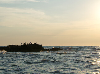 Rocks in the sea. Seascape water, seagull, rocks and sky background. Seagull sitting on a rock. Mediterranean Sea landscape. Sunset on Italy, Campania. Blue water surface and waves. Natural background