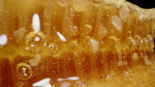 Honey with bubbles flowing down from natural beeswax combs, macro slider.