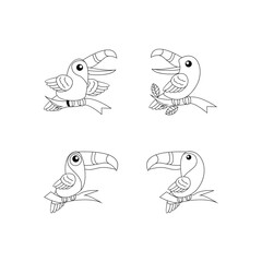toucan bird drawing line cute black white illustration set collection