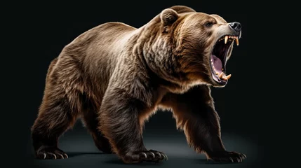 Fototapeten A roaring brown bear in the wild © mattegg