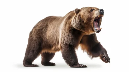 Zelfklevend Fotobehang A roaring brown bear in the wild © mattegg