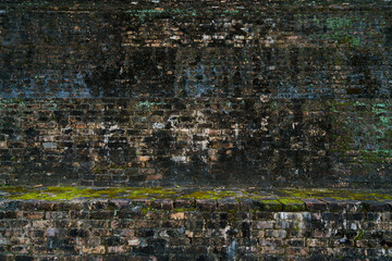 An old reddish-brown brick wall covered with moss and plants in colors ranging from light green to dark green to black.